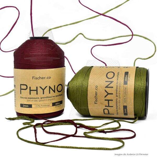 FS_Nau_Phyno_es2
