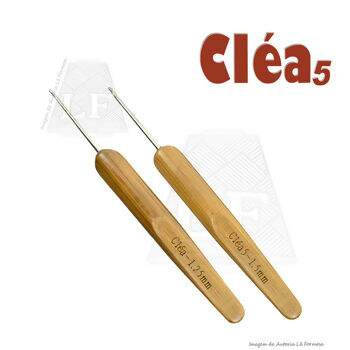 Cir_AgCroche_Mad_es_Clea5