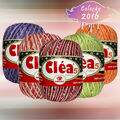 Linha Círculo Cléa 5 Multicolor- 750m (147,5g)