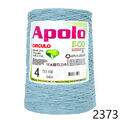 Cir_Apolo4_22_2373