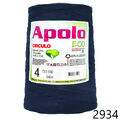 Cir_Apolo4_22_2934