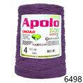 Cir_Apolo4_22_6498