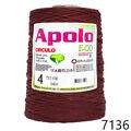 Cir_Apolo4_22_7136