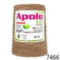 Cir_Apolo4_22_7466