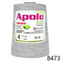 Cir_Apolo4_22_8473