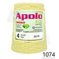 Cir_Apolo4_26_1074
