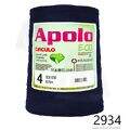 Cir_Apolo4_26_2934