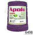 Cir_Apolo4_26_6498