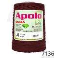 Cir_Apolo4_26_7136