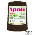Cir_Apolo4_26_7311