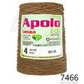 Cir_Apolo4_26_7466