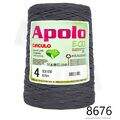Cir_Apolo4_26_8676
