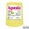 Cir_Apolo6_22_1074