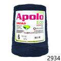 Cir_Apolo6_22_2934