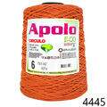 Cir_Apolo6_22_4445