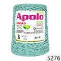 Cir_Apolo6_22_5276