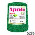 Cir_Apolo6_22_5286