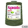 Cir_Apolo6_22_5368