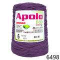Cir_Apolo6_22_6498