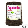 Cir_Apolo6_22_7311