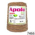Cir_Apolo6_22_7466