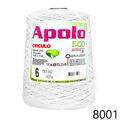 Cir_Apolo6_22_8001