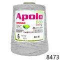Cir_Apolo6_22_8473