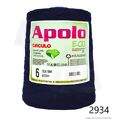 Cir_Apolo6_26_2934