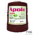 Cir_Apolo6_26_7136