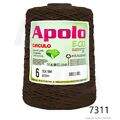 Cir_Apolo6_26_7311