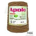 Cir_Apolo6_26_7466