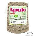 Cir_Apolo6_26_7725