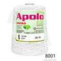 Cir_Apolo6_26_8001