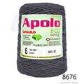 Cir_Apolo6_26_8676