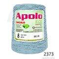 Cir_Apolo8_26_2373