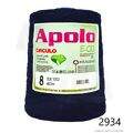 Cir_Apolo8_26_2934