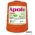 Cir_Apolo8_26_4445