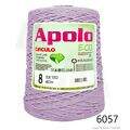 Cir_Apolo8_26_6057