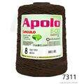 Cir_Apolo8_26_7311