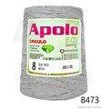 Cir_Apolo8_26_8473