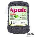 Cir_Apolo8_26_8676