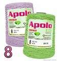 Cir_Apolo8_26_es
