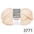Cir_Artic22_3771