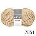 Cir_Artic22_7851
