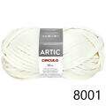 Cir_Artic22_8001