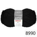 Cir_Artic22_8990