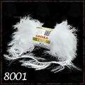 Cir_Frise_8001