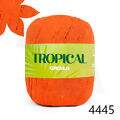 Cir_Tropical_4445