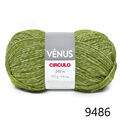 Cir_venus_9486