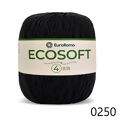 ER_ecoSoft4_0250